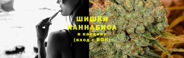 шишки Армянск