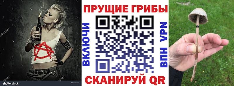 Псилоцибиновые грибы Psilocybine cubensis как найти Старый Крым